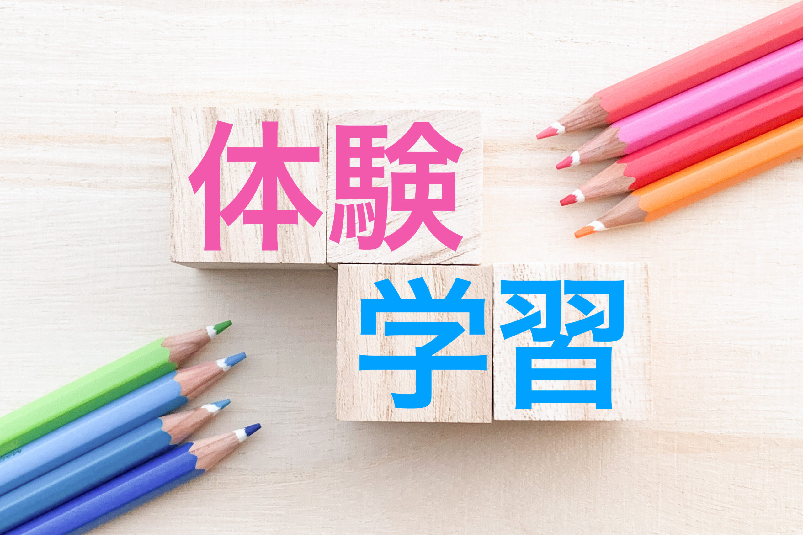 体験学習